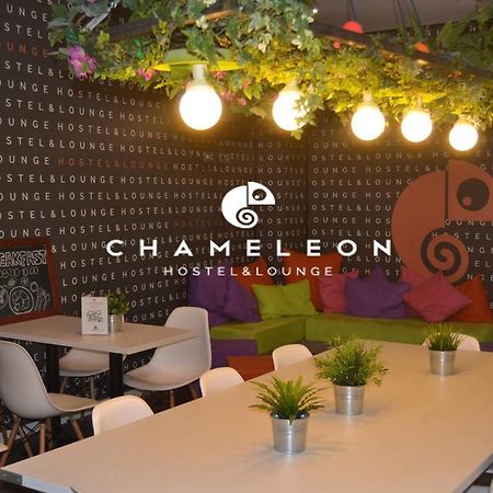 Chameleon Youth Hostel Alicante Kültér fotó