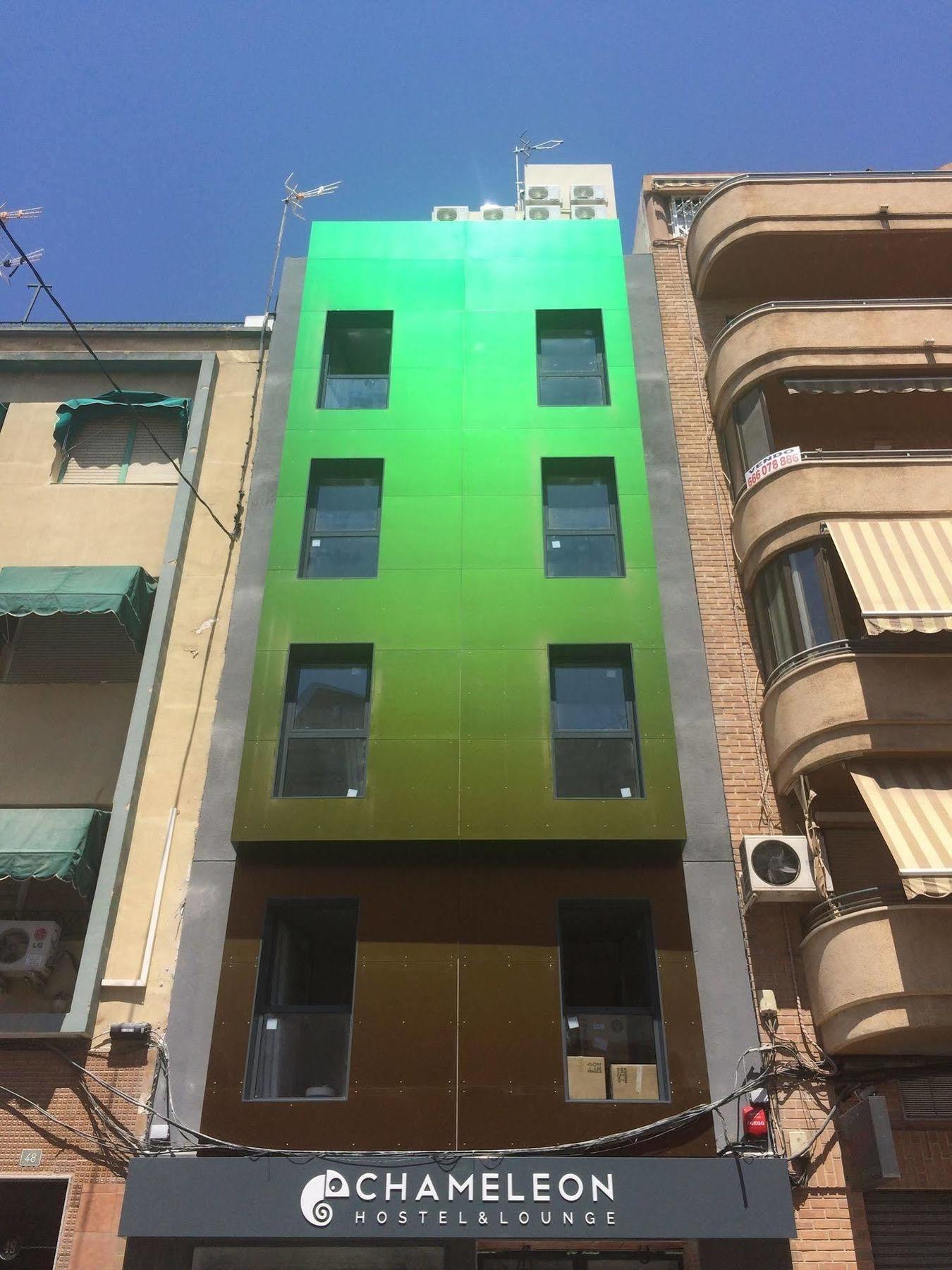 Chameleon Youth Hostel Alicante Kültér fotó